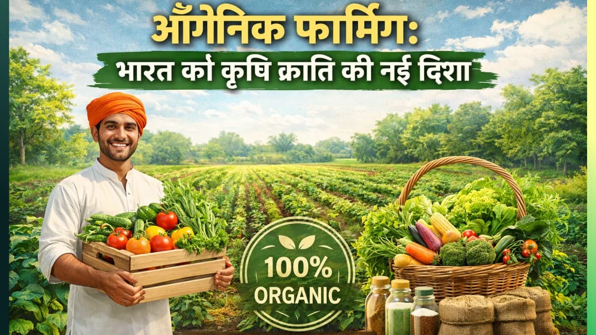 ऑर्गेनिक फार्मिंग क्या है? भारत में ऑर्गेनिक खेती की पूरी जानकारी
