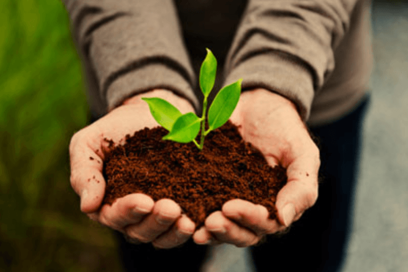 Why You Should Use Organic Fertilizers