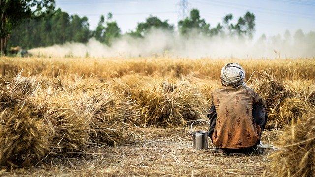 MP E Uparjan 2020-21 | Now Register Your Crop Online from Home