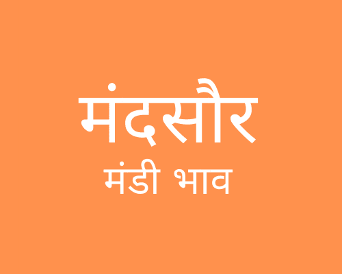 मंदसौर मंडी मंडी भाव - Mandsaur Mandi Bhav