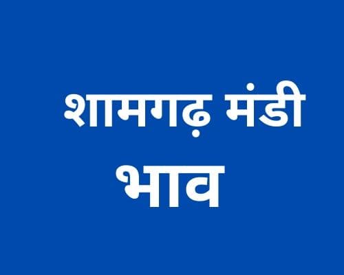 शामगढ़ मंडी मंडी भाव - Shamgarh Mandi Bhav