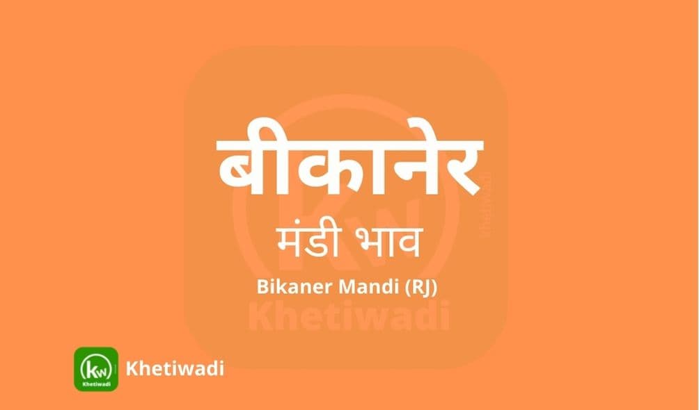 बीकानेर मंडी मंडी भाव - Bikaner Mandi Bhav