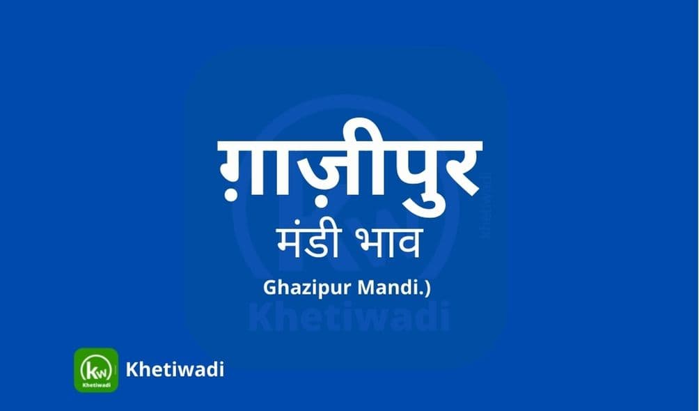 ग़ाज़ीपुर मंडी मंडी भाव - Ghazipur Mandi Bhav