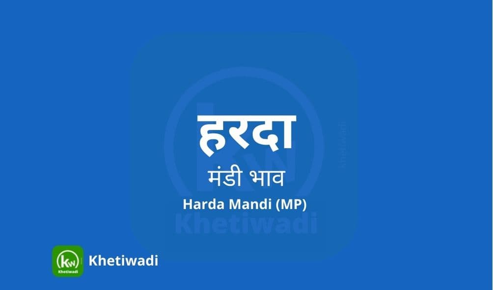 हरदा मंडी मंडी भाव - Harda Mandi Bhav