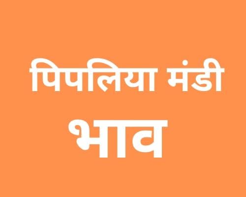 पिपलिया मंडी मंडी भाव - Pipliya Mandi Bhav