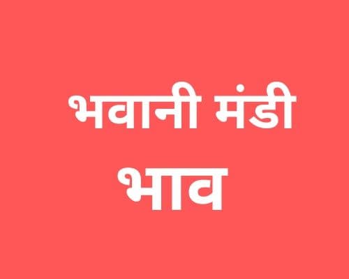 भवानी मंडी मंडी भाव - Bhawani Mandi Bhav