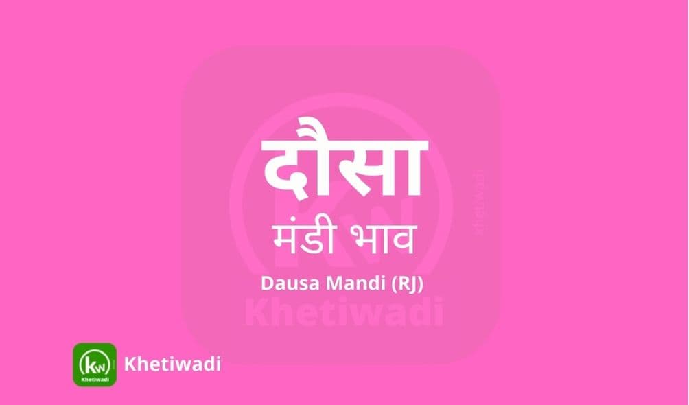 दौसा मंडी मंडी भाव - Dausa Mandi Bhav