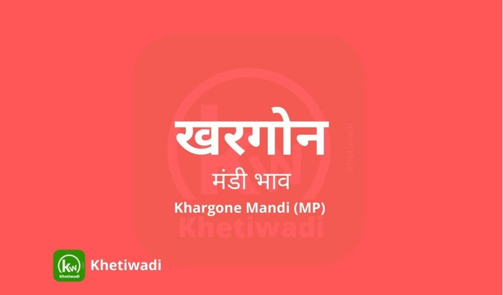 खरगोन मंडी मंडी भाव - Khargone Mandi Bhav