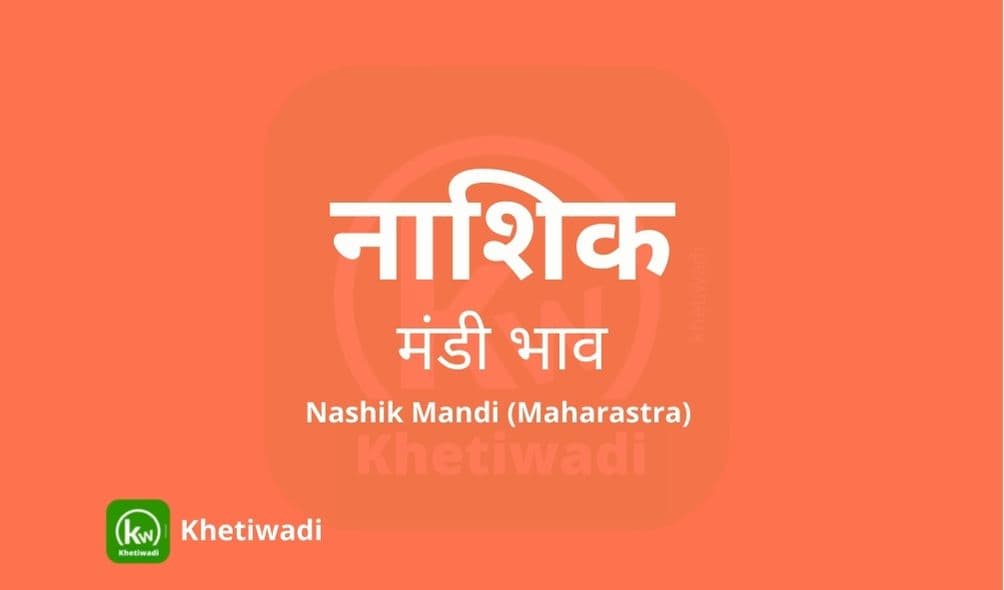 नाशिक मंडी मंडी भाव - Nashik Mandi Bhav