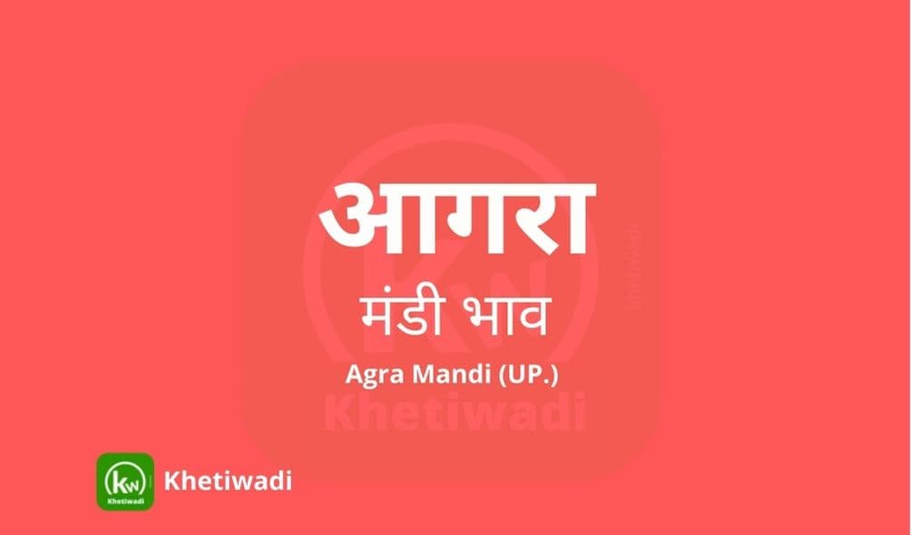 आगरा मंडी मंडी भाव - Agra Mandi Bhav