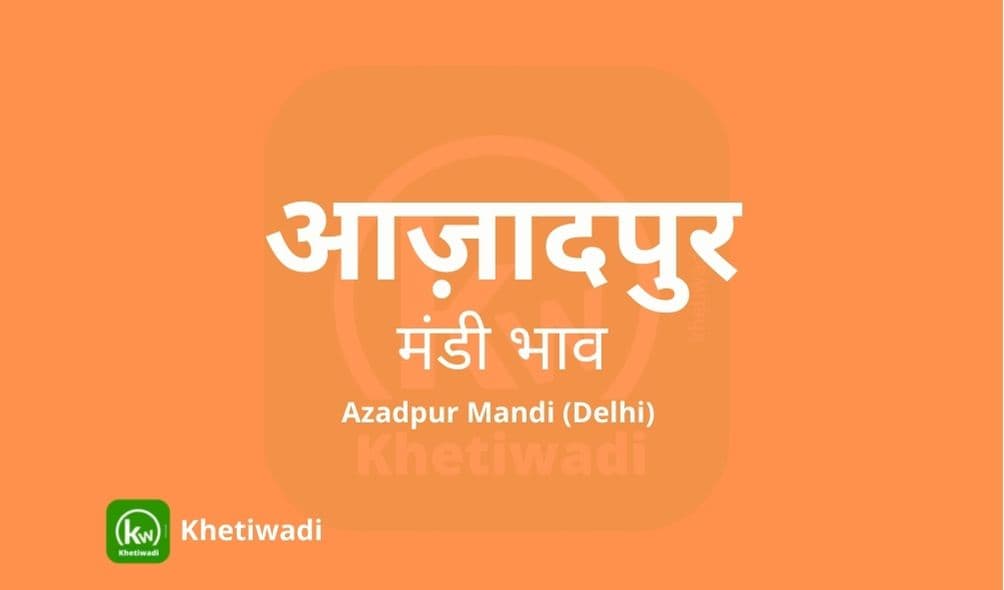आज़ादपुर मंडी मंडी भाव - Azadpur Mandi Bhav