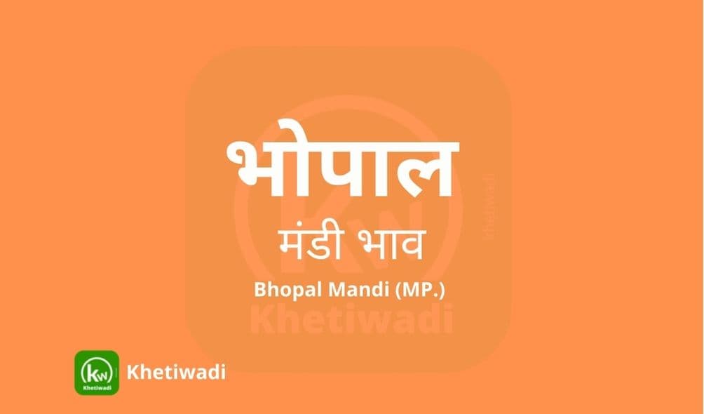 भोपाल मंडी मंडी भाव - Bhopal Mandi Bhav