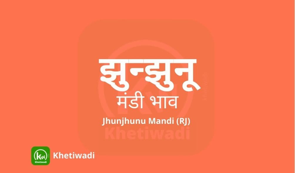 झुन्झुनू मंडी मंडी भाव - Jhunjhunu Mandi Bhav