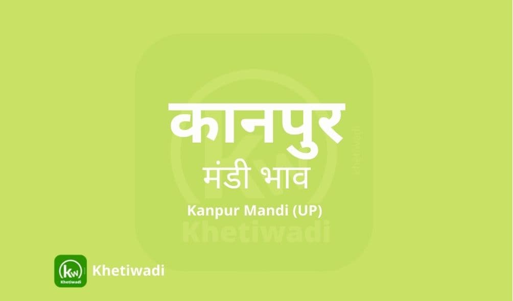 कानपुर मंडी मंडी भाव - Kanpur Mandi Bhav
