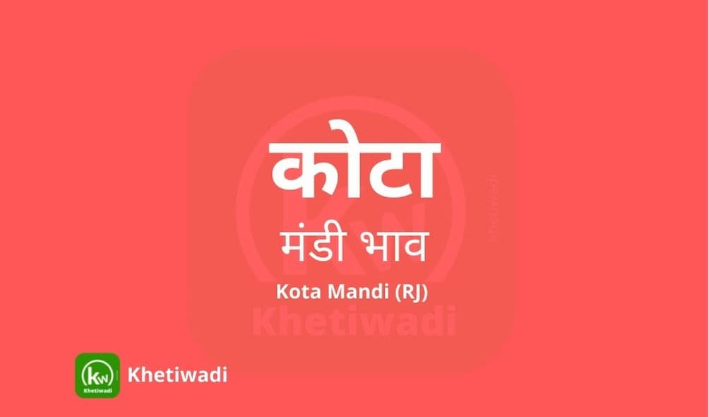 कोटा मंडी मंडी भाव - Kota Mandi Bhav