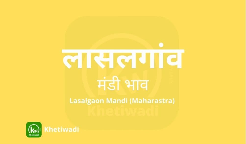लासलगांव मंडी मंडी भाव - Lasalgaon Mandi Bhav