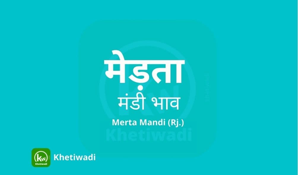 मेड़ता मंडी मंडी भाव - Merta Mandi Bhav