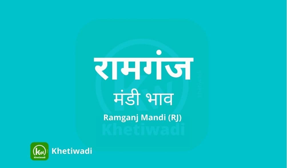 रामगंज मंडी मंडी भाव - Ramganj Mandi Bhav