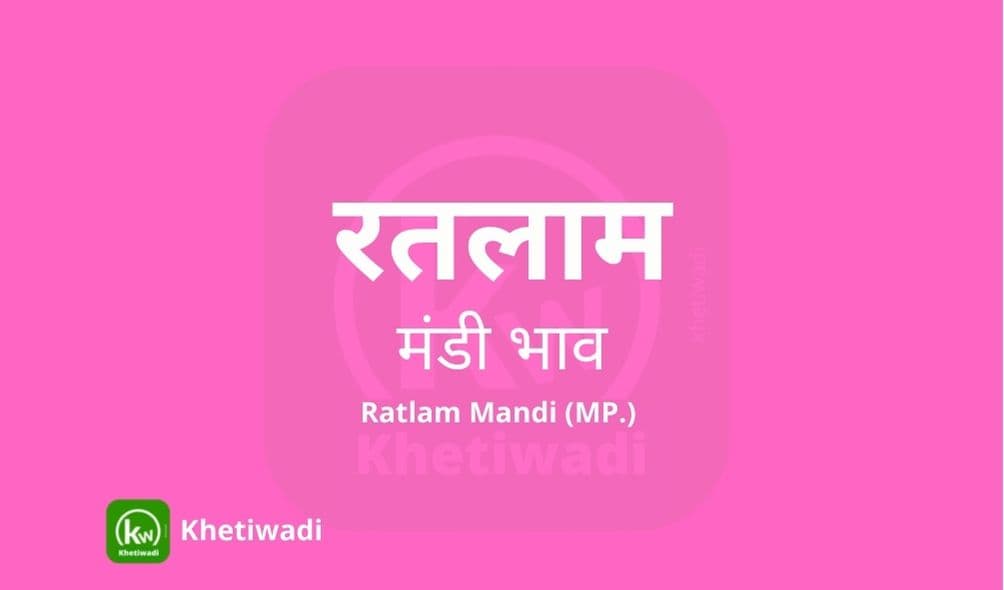 रतलाम मंडी मंडी भाव - Ratlam Mandi Bhav