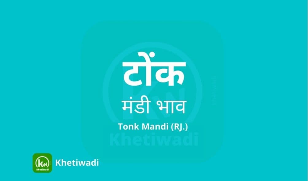 टोंक मंडी मंडी भाव - Tonk Mandi Bhav