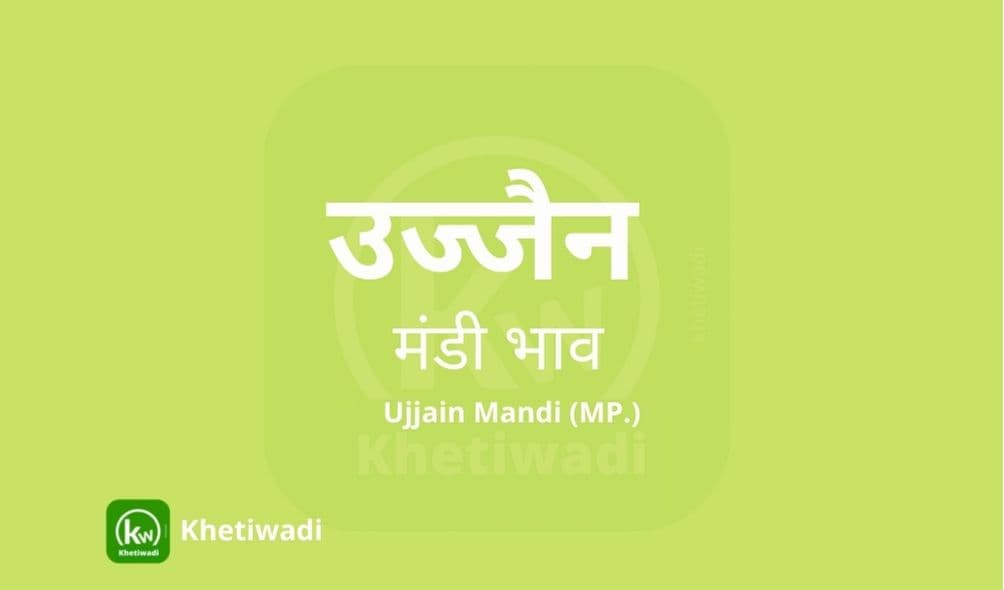 उज्जैन मंडी मंडी भाव - Ujjain Mandi Bhav
