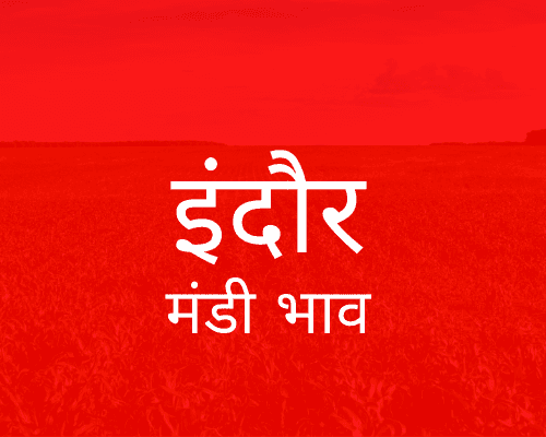 इंदौर मंडी मंडी भाव - Indore Mandi Bhav
